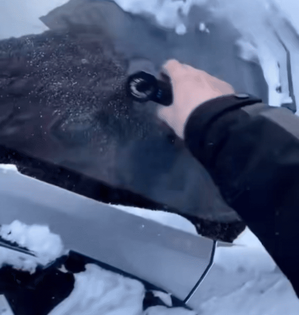 Turbo Breeze Multipurpose Snow Blower