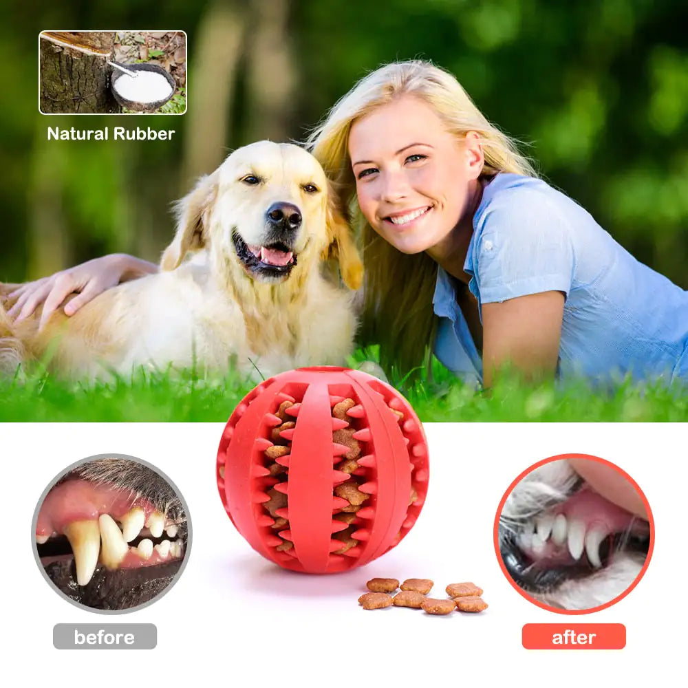 Interactive Pets Rubber Balls